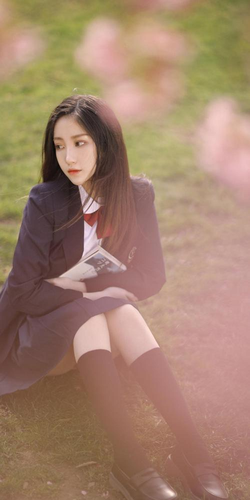 69视频网站免费入口主界面展示